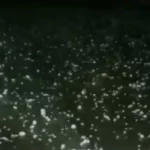 rain sixteen nine