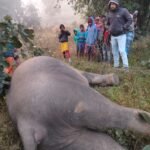 WhatsApp Image 2023 11 23 at 6.42.22 PM