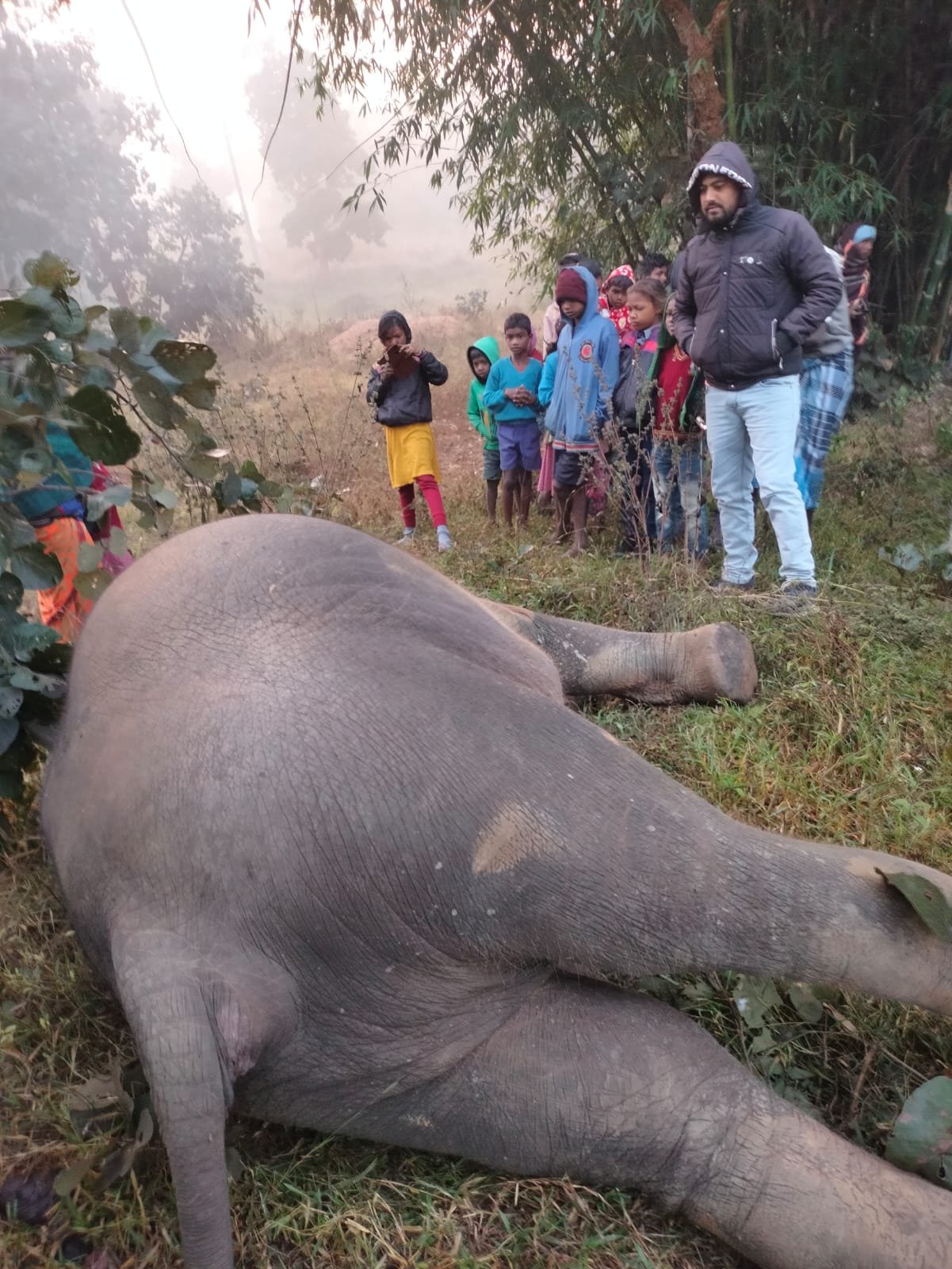 WhatsApp Image 2023 11 23 at 6.42.22 PM