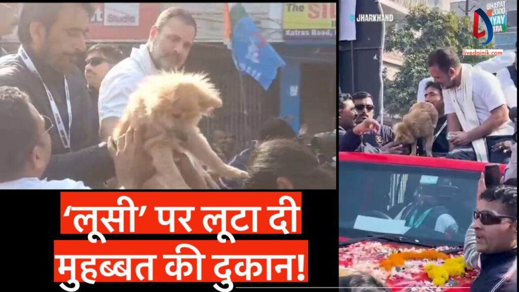 Rahul Gandhi Lusi