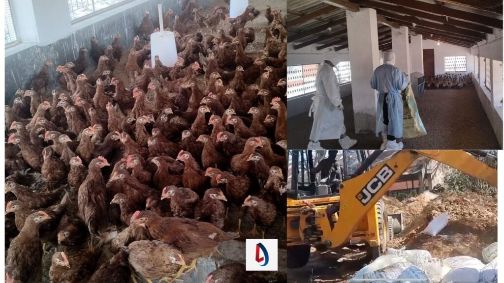 Bird Flu ने दी रांची में दस्तक: H5 N1 Avian की पुष्टि के बाद एपिसेंटर में क्लीनिंग एंड डिसइन्फेक्शन का किया गया कार्य