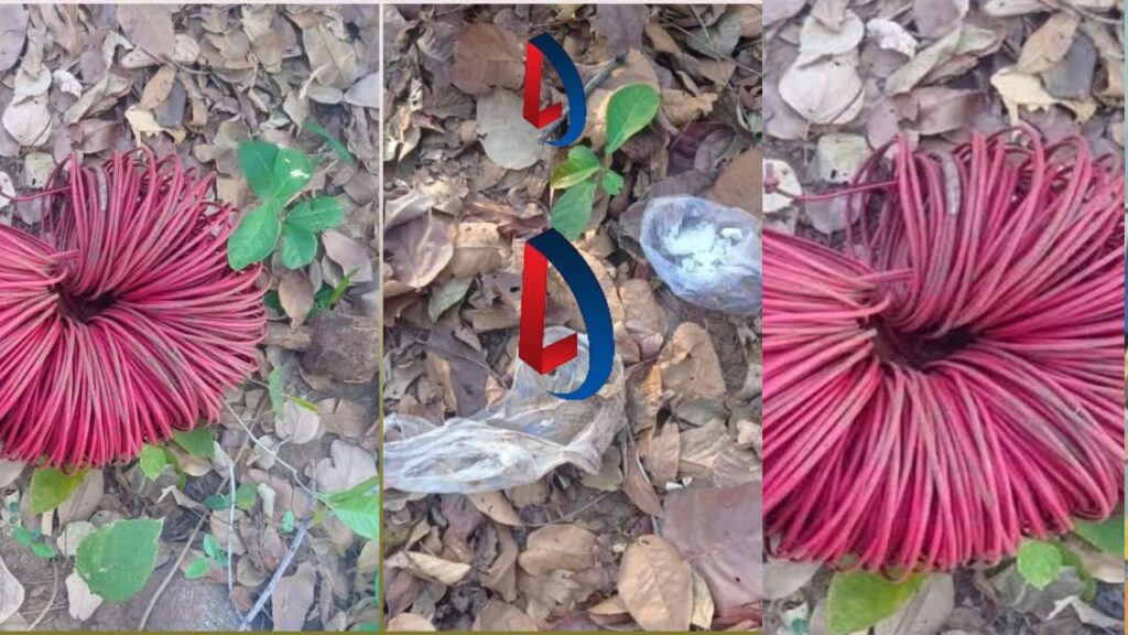 Giridih में सुरक्षा बलों ने नक्सलियों के खिलाफ चलाया सर्च अभियान, कोडेक्स वायर बरामद