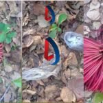 Giridih में सुरक्षा बलों ने नक्सलियों के खिलाफ चलाया सर्च अभियान, कोडेक्स वायर बरामद