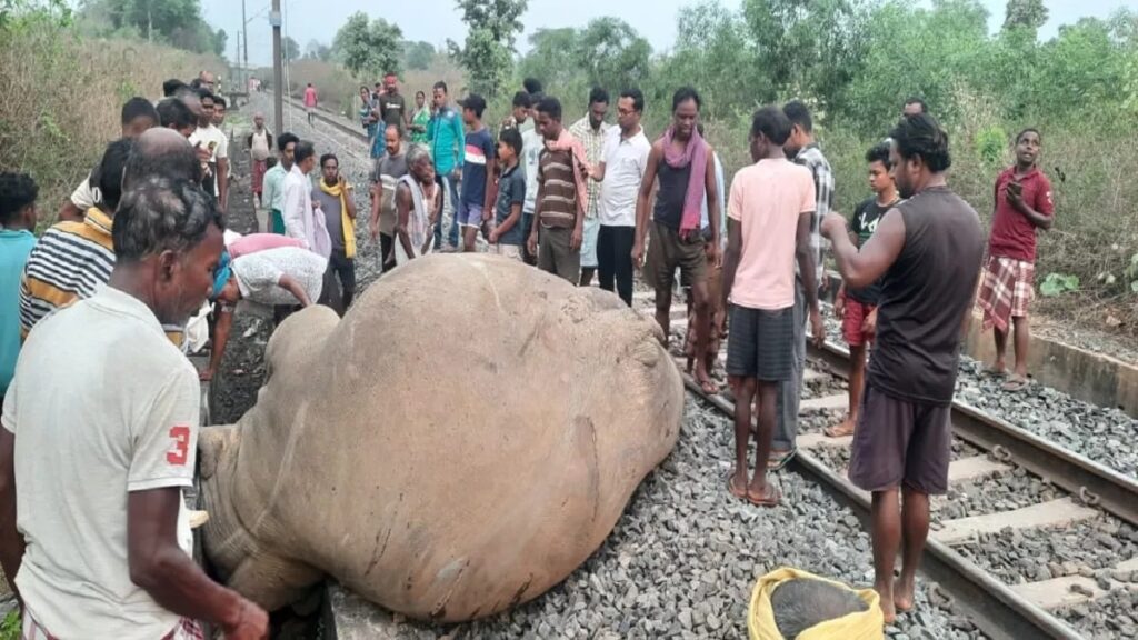 ट्रेन से कटकर हाथी की मौत, हादसे में बिजली का खंभा भी टूटा, चांडिल-मुरी रेलखंड पर ट्रेन सेवा बाधित