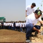 विश्व पर्यावरण दिवस के अवसर पर त्रिवेणी सैनिक के कर्मचारियों ने एक दिन में लगाया एक लाख पौधा