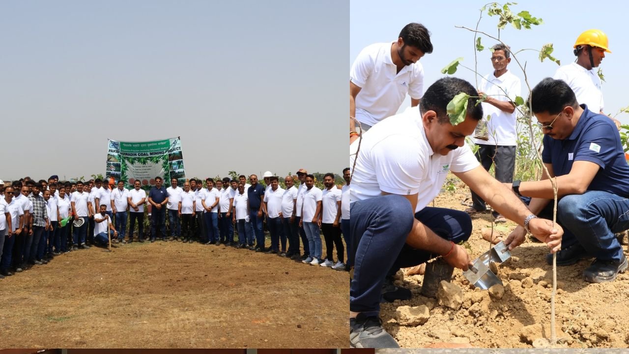 विश्व पर्यावरण दिवस के अवसर पर त्रिवेणी सैनिक के कर्मचारियों ने एक दिन में लगाया एक लाख पौधा
