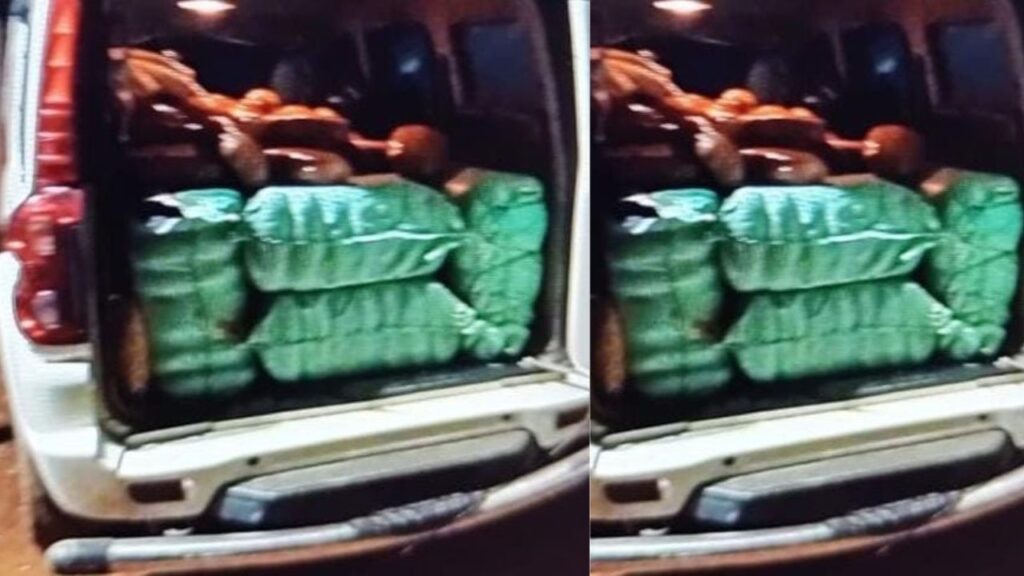 लोहरदगा-रांची पुलिस के संयुक्त अभियान में नगड़ी से बरामद हुआ 200 किलो गांजा, पुलिस को चकमा देने में कामयाब रहा तौफीक अंसारी