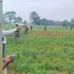 लोहरदगा में युवा सर्राफा कारोबारी का खेत में मिला शव, पुलिस ने हत्या के मामले में रांची से दो दोस्तों को किया अरेस्ट