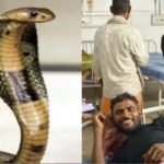 सांप ने झारखंड के युवक को दो बार डसा, नाराज युवक ने तीन बार सांप को कांटा, सांप की मौत, युवक जिंदा