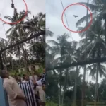 Bird_Unfurls_Flag_Viral_Video