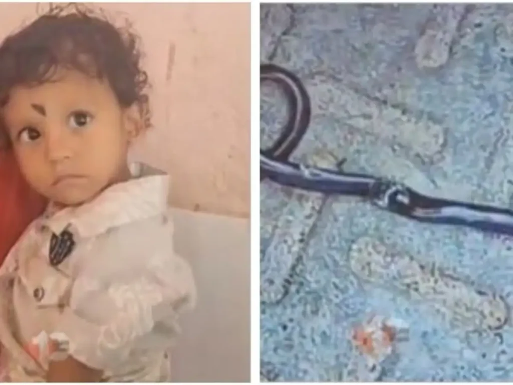 child_killed_snake_in_gaya
