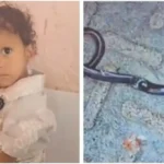 child_killed_snake_in_gaya