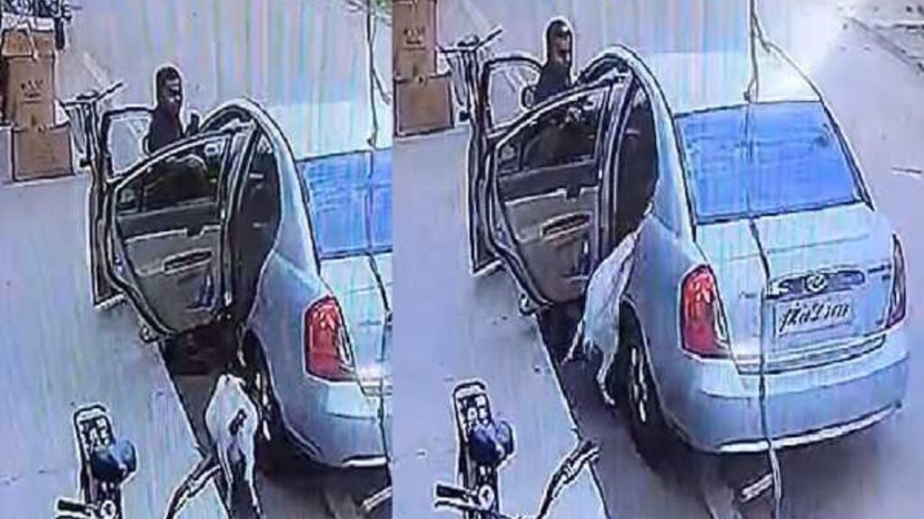 कार सवार ने एक के बाद एक चुरा ली तीन बकरियां, CCTV में कैद हुई चोरी की वारदात