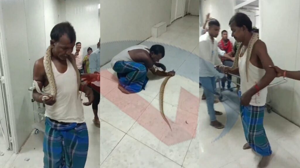 सांप को गले में लटकाकर, उसकी गर्दन पकड़कर अस्पताल पहुंचा शख्स, वीडियो देख लोग रह गए हैरान