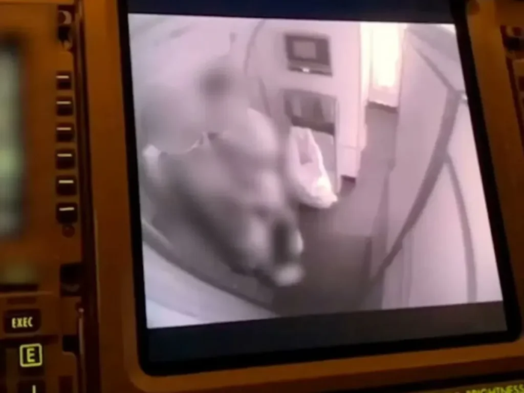 sex_in_airplane