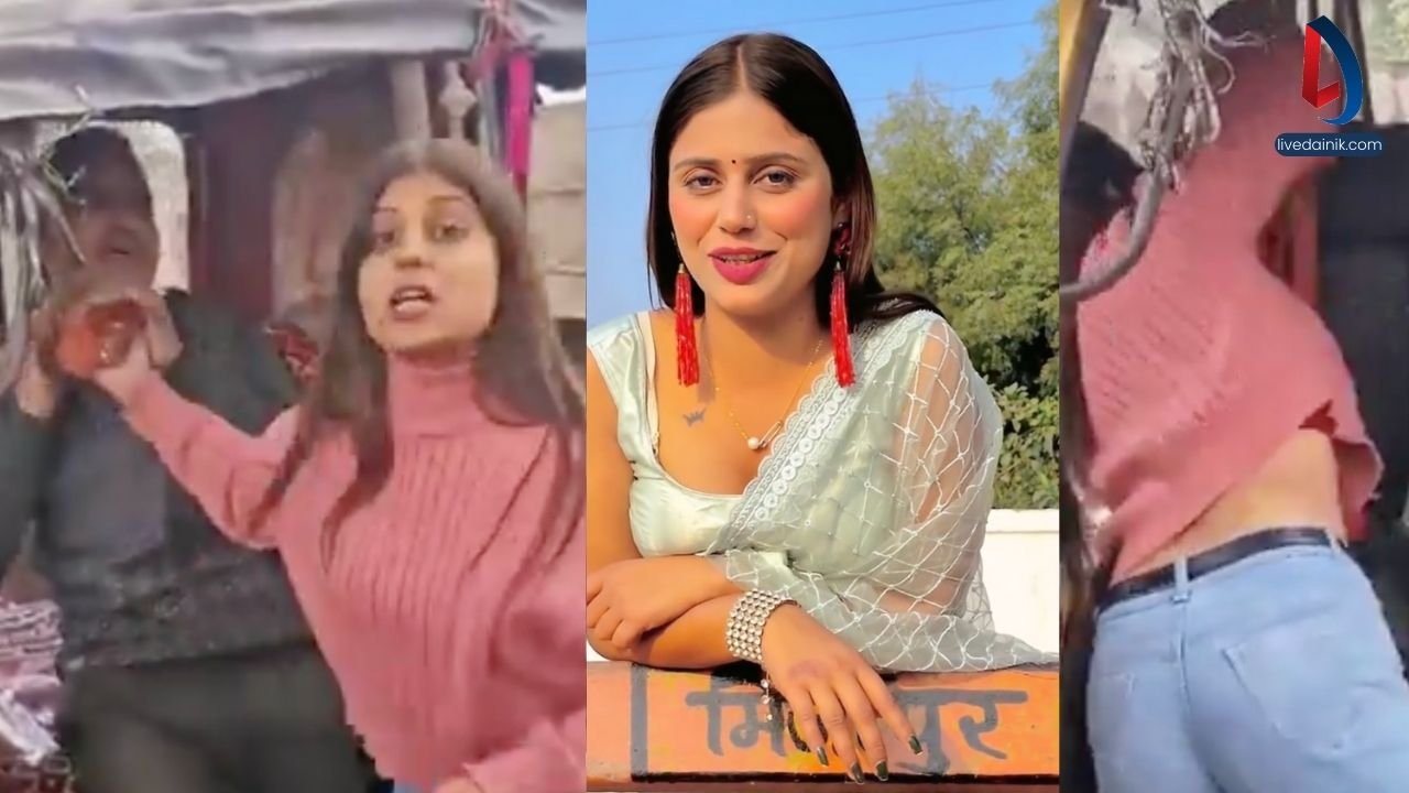 ऑटो वाला गिड़गिड़ाता रहा...वो पीटती रही... गाली देती रही... अब यूपी पुलिस लड़की का उतारेगी 'नशा' या ऑटो वालों की फिर होगी पिटाई ? 1 mirzapur priyanshu pandey