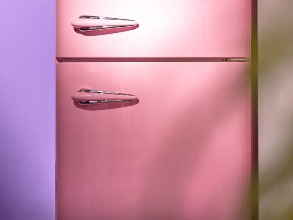 dead_body_in_fridge