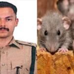 IPS रोहन झा की अजीबो-गरीब हरकतें चर्चा में, चूहें की काटी गर्दन और हवन कर जिंदा करने का किया दावा