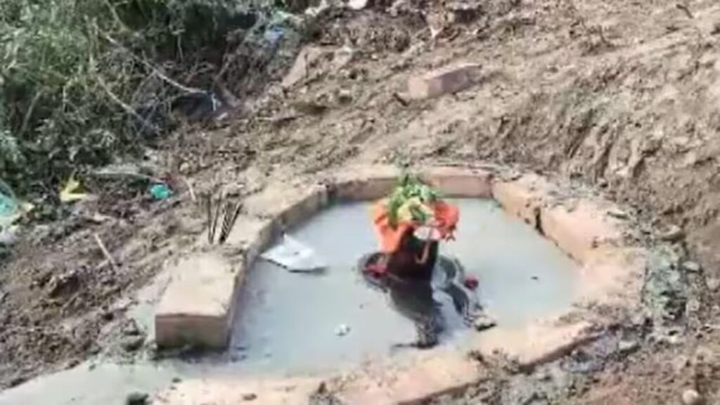 सांप मारने के लिए उठाया डंडा तो वहां से निकला शिवलिंग! पूजा के लिए उमड़ पड़े लोग