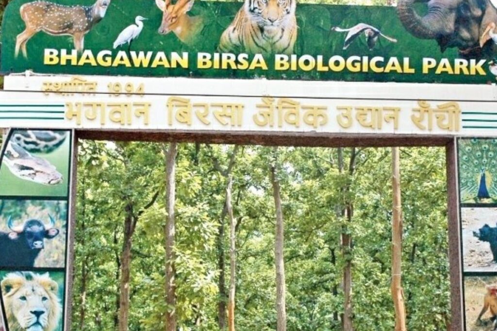 रांची के बिरसा मुंडा जू में 4 ऑस्ट्रेलियन एमू और एक मगरमच्छ की मौत से हड़कंप