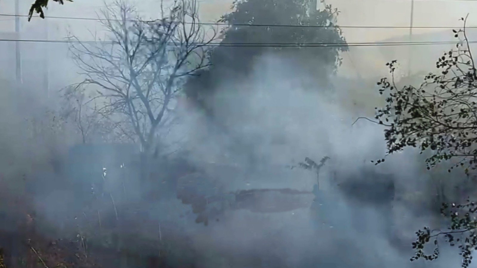 गिरिडीह के जुबली पहाड़ी में लगी भीषण आग NH तक पहुंची, दो किलोमीटर से ज्यादा पेड़-पौधे आये झुलसे