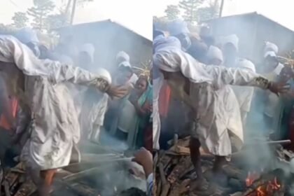 viral-video-in-creamiation