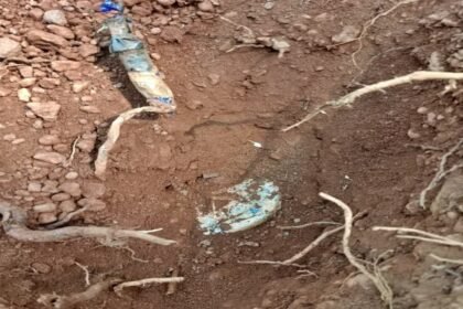 चाईबासा में नक्सलियों की एक और साजिश नाकाम, सुरक्षाबलों को नुकसान पहुंचाने के लिए लगाया गया IED बम निष्क्रिय