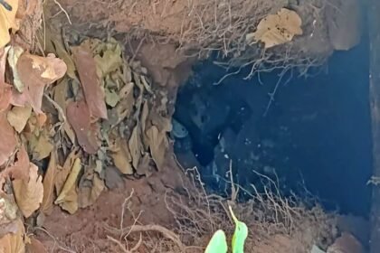 चाईबासा में नक्सलियों की बड़ी साजिश नाकाम, 4 IED बम बरामद, 16 बंकर को सुरक्षाबलों ने किया ध्वस्त