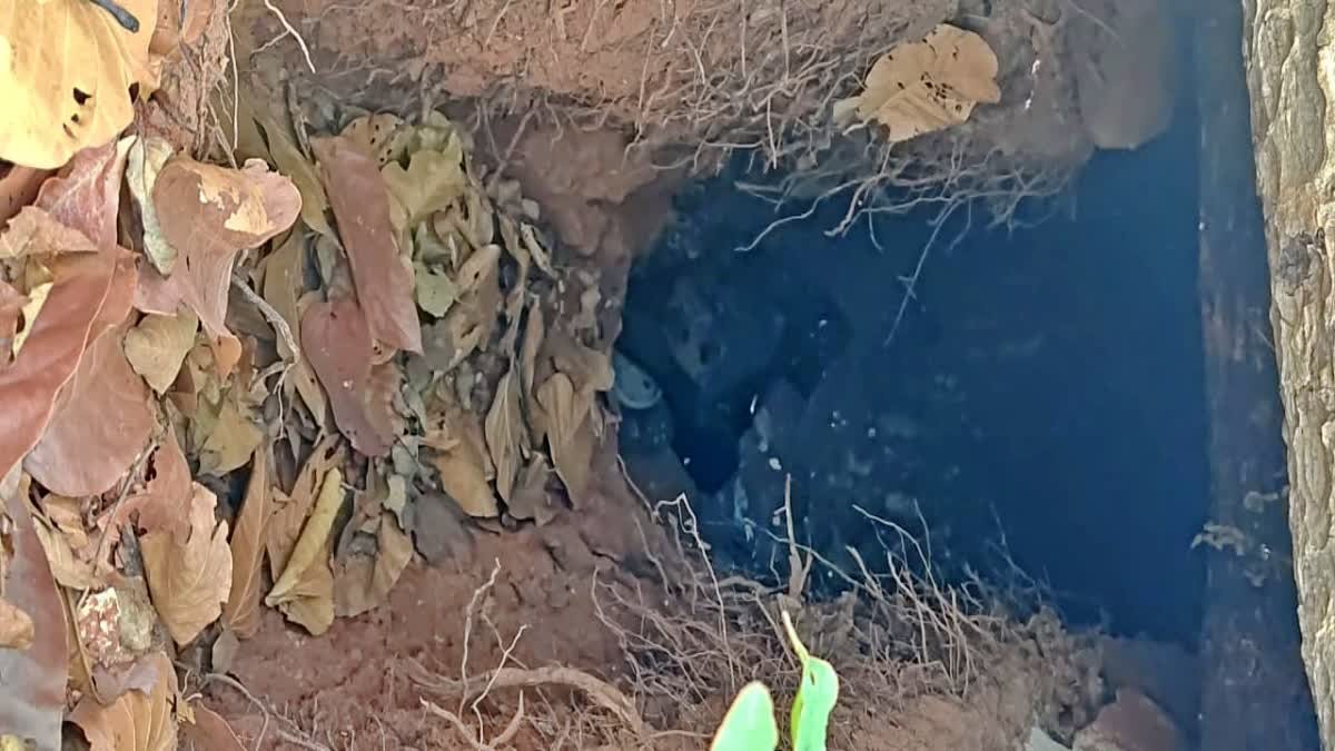 चाईबासा में नक्सलियों की बड़ी साजिश नाकाम, 4 IED बम बरामद, 16 बंकर को सुरक्षाबलों ने किया ध्वस्त