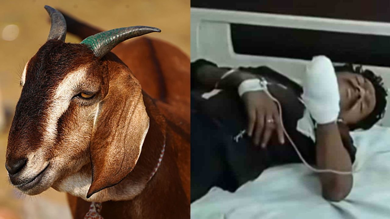 बकरे की जगह एक व्यक्ति के हाथ की चढ़ गई बलि, पुलिस मामले की जांच में जुटी