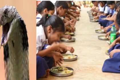 पटना में सांप के जहर वाली सब्जी मिड डे मिल में रसोइये ने परोसा, 200 से अधिक बच्चे हुए बीमार