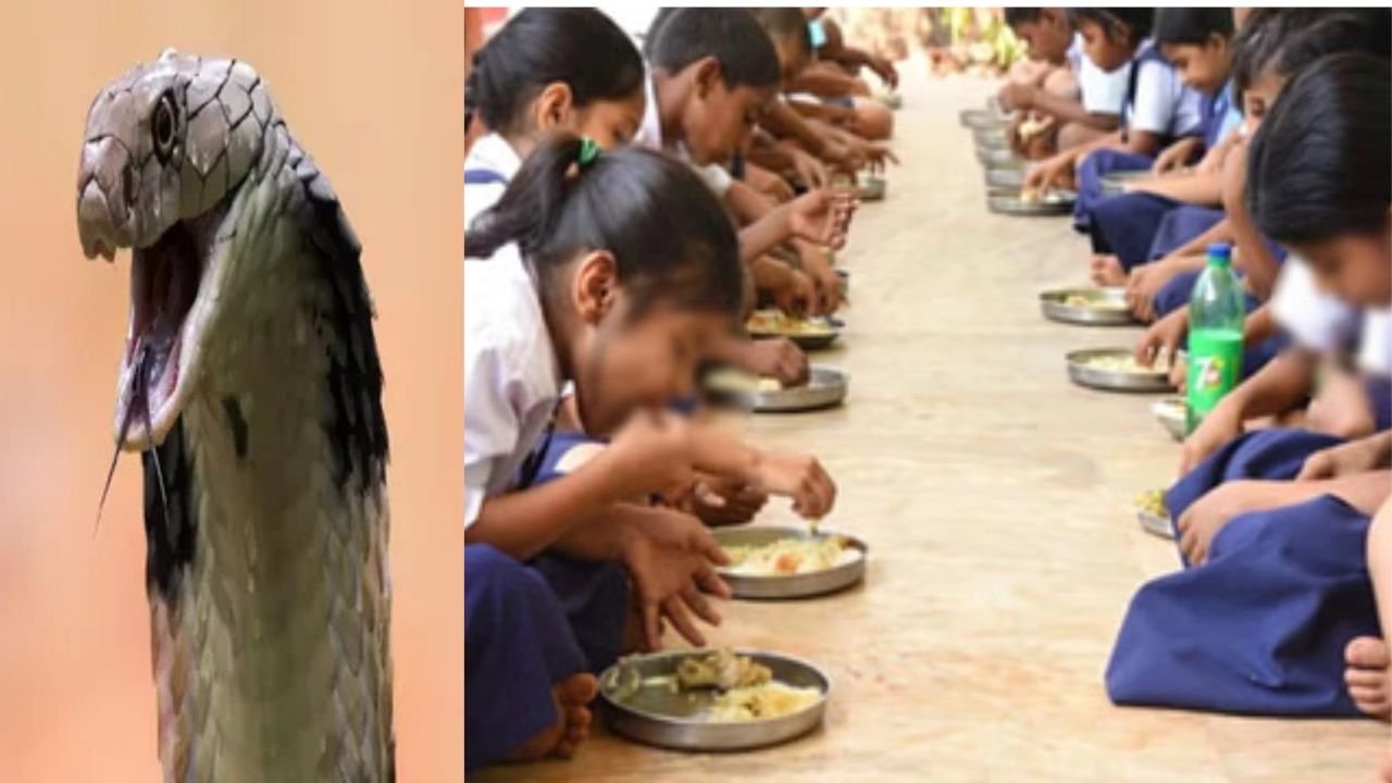 पटना में सांप के जहर वाली सब्जी मिड डे मिल में रसोइये ने परोसा, 200 से अधिक बच्चे हुए बीमार