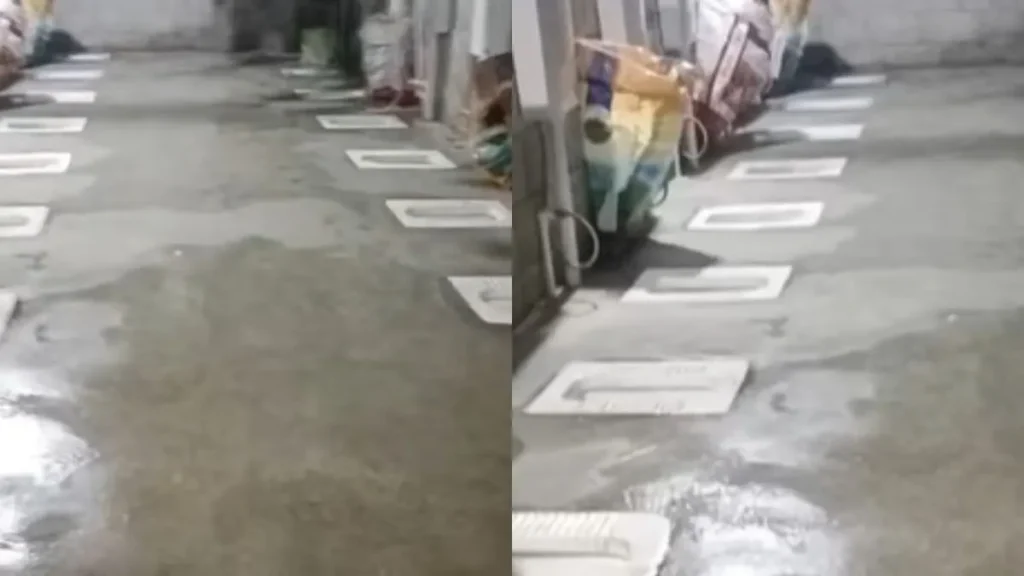toilet