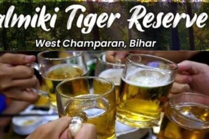 बिहार के वाल्मीकि टाइगर रिजर्व में शराब पार्टी, चार वनपाल समेत 11 को किया गया गिरफ्तार
