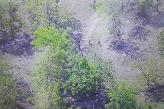 छत्तीसगढ़-तेलंगाना बॉडर में मुठभेड़, 20 से ज्यादा नक्सली के मारे जाने की खबर, देखिये VIDEO