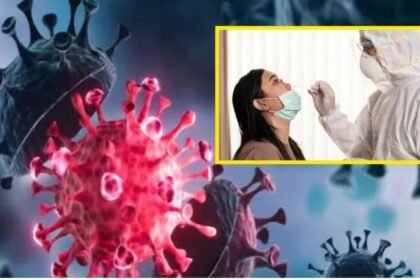 कोरोना वायरस का नया वेरिएंट 16 राज्यों में फैला, आंकड़ा 1000 के पार, 7 की हो चुकी है अबतक मौत