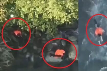 आतंकवादियों को ठिकाना और खाना की व्यवस्था करने का लगा आरोप, इम्तियाज ने नदी में कूदकर दे दी जान, सामने आया VIDEO