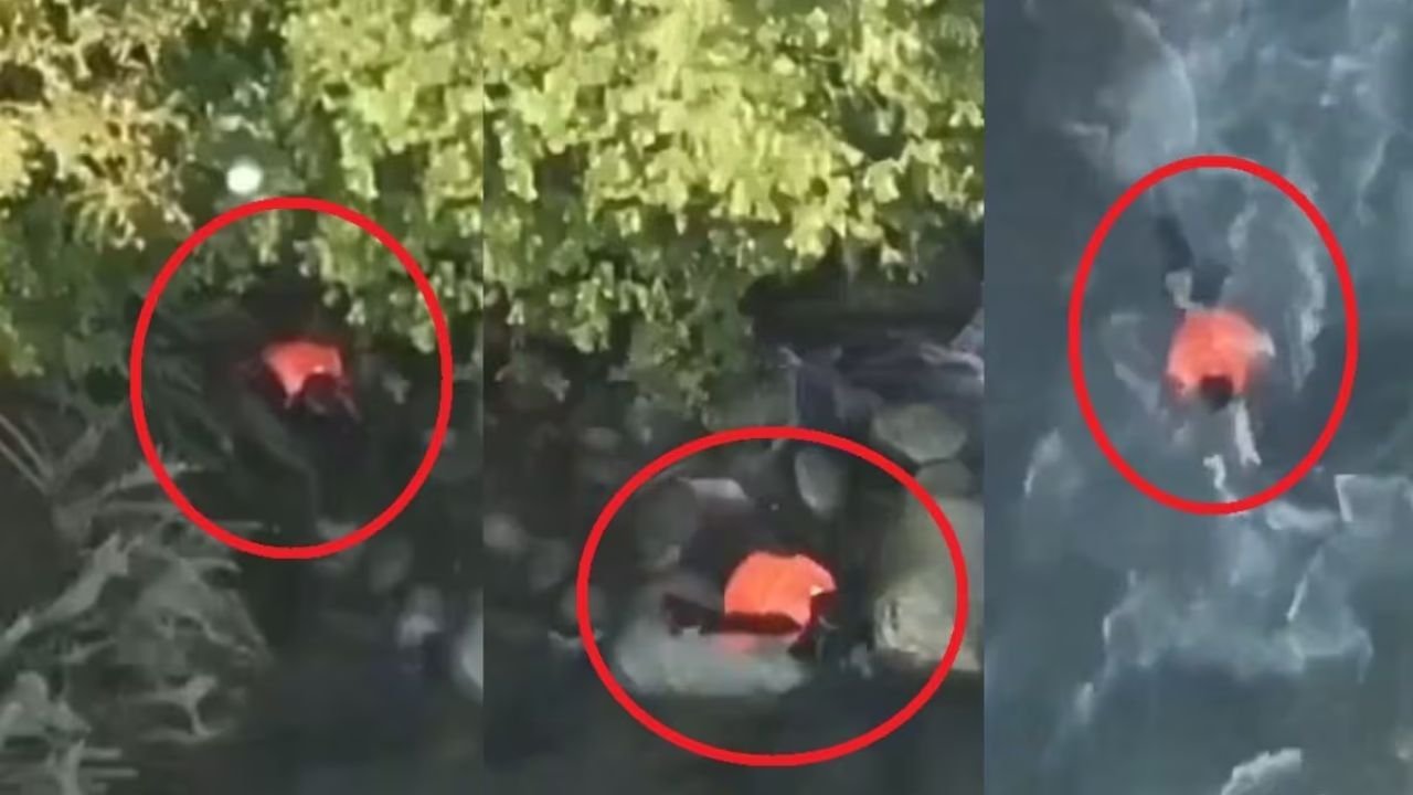 आतंकवादियों को ठिकाना और खाना की व्यवस्था करने का लगा आरोप, इम्तियाज ने नदी में कूदकर दे दी जान, सामने आया VIDEO