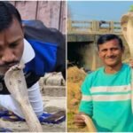 बिहार में 2000 सांपों को बचाने वाले जय सहनी को कोबरा ने काटा, जानिये कैसे हुई दर्दनाक मौत