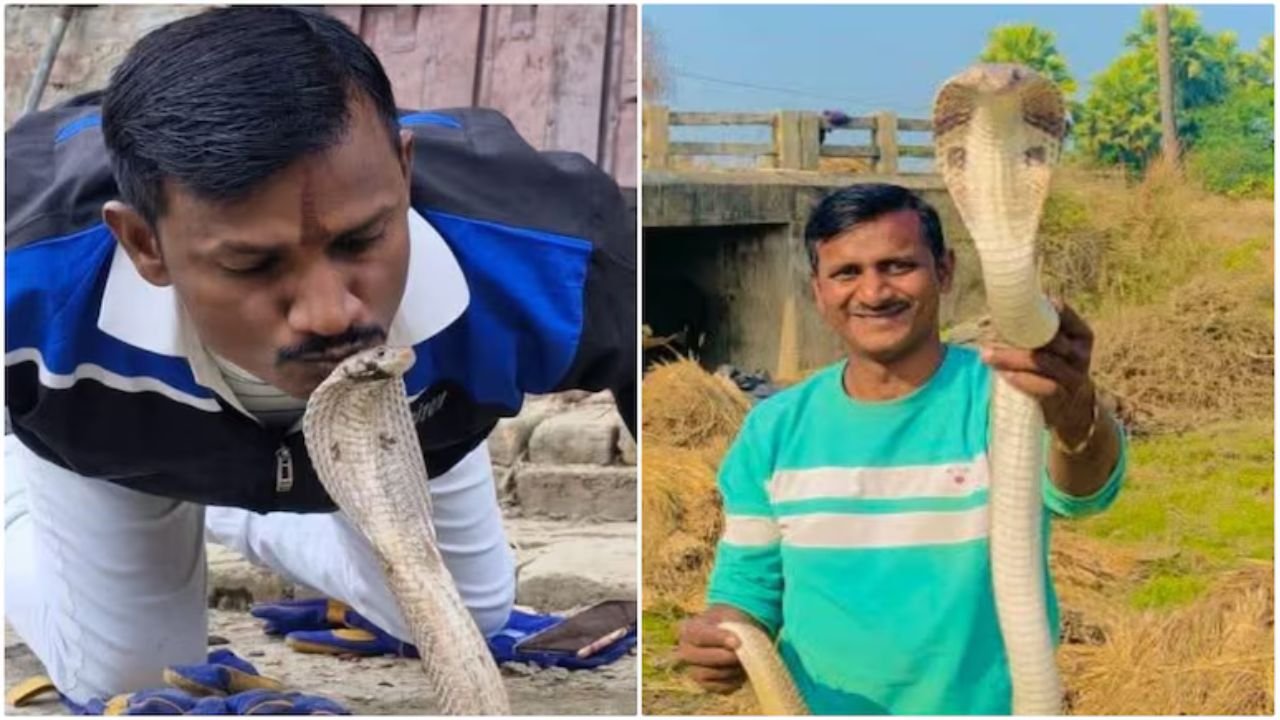 बिहार में 2000 सांपों को बचाने वाले जय सहनी को कोबरा ने काटा, जानिये कैसे हुई दर्दनाक मौत