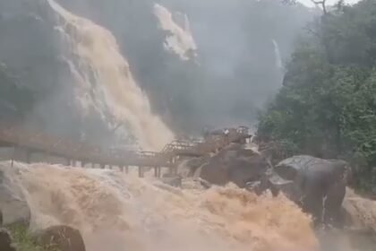 लातेहार में लगातार हो रही बारिश के कारण भारी संख्या में पर्यटक फंसे, सड़क पर गाड़ियों की लगी लंबी लाइन