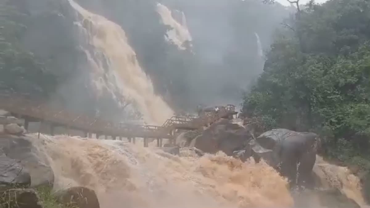 लातेहार में लगातार हो रही बारिश के कारण भारी संख्या में पर्यटक फंसे, सड़क पर गाड़ियों की लगी लंबी लाइन