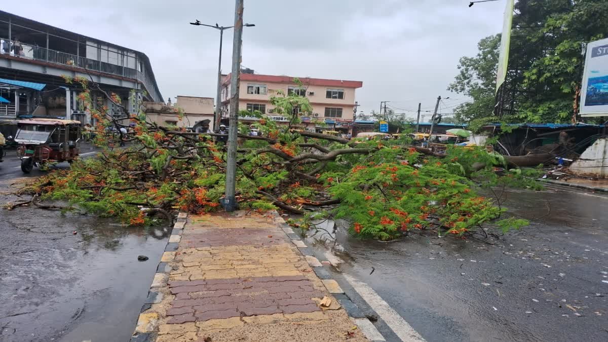 1200 675 24402904 thumbnail 16x9 jhranbrsatbanaafatphoto 1 aspera