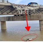 1200 675 24475609 thumbnail 16x9 bhagalpur