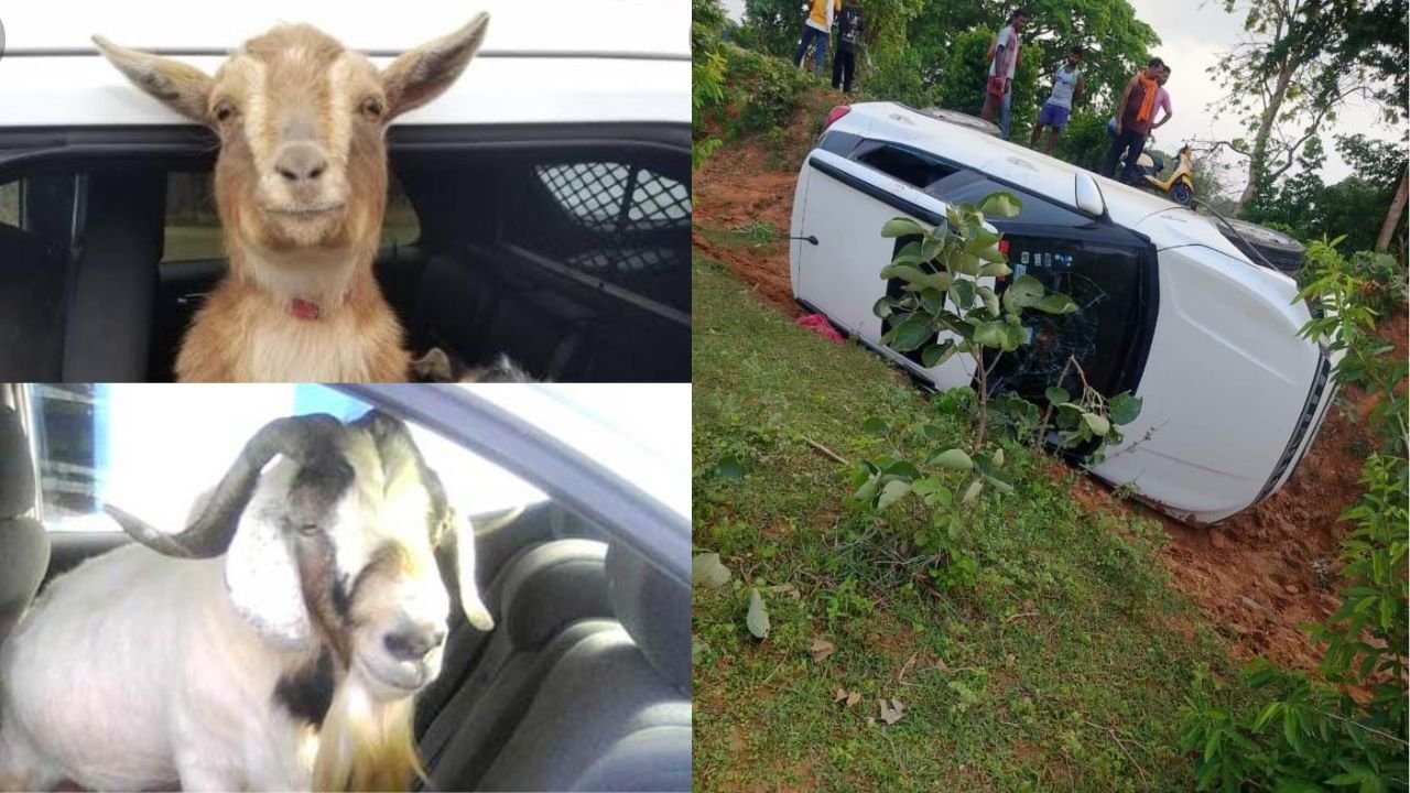 रांची में लग्जरी कार से कर रहा था बकरी की चोरी, लोगों ने खदेड़ा तो पलट गई गाड़ी