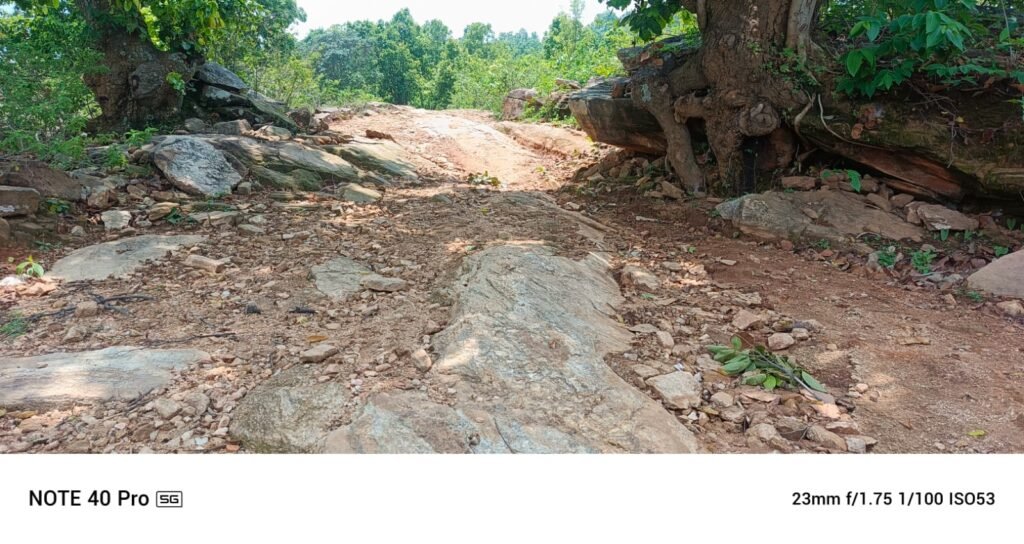 WhatsApp Image 2025 06 08 at 08.25.03 a883558a