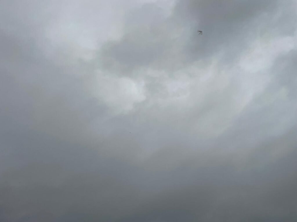 WhatsApp Image 2025 06 18 at 05.42.44 9672c503