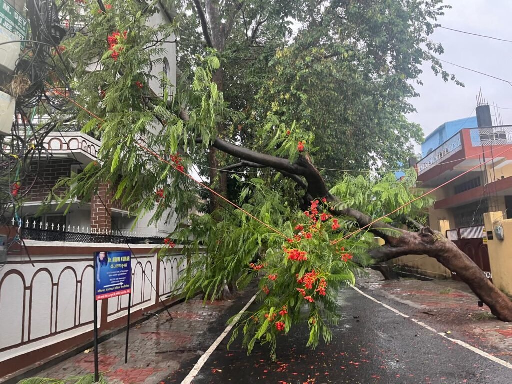 WhatsApp Image 2025 06 18 at 06.50.16 55762756