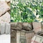 तस्करों के खिलाफ चतरा पुलिस की बड़ी कार्रवाई, छापेमारी में 7 किलो अफीम और 20 लाख नकद किया बरामद