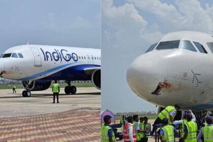 रांची में बर्ड हिट के बाद विमान की इमरजेंसी लैंडिंग, पटना से यात्रियों को लेकर आ रही फ्लाइट की इमरजेंसी लैंडिंग